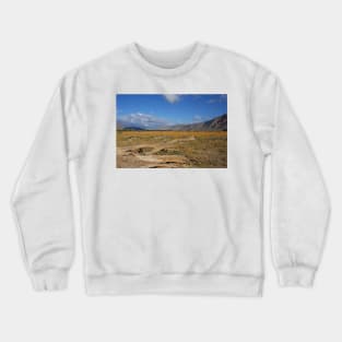 WGC_2416 Crewneck Sweatshirt